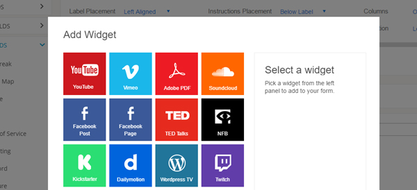 Online Form Widget Field