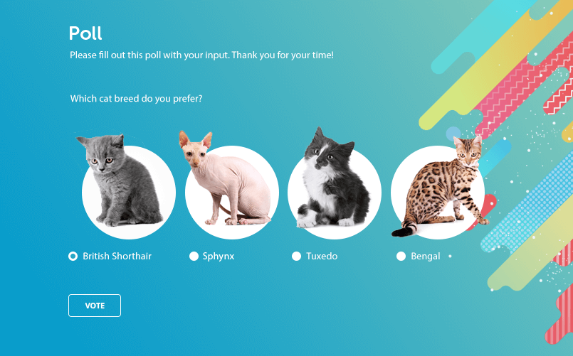 online poll with cats